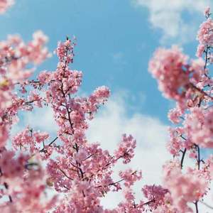 成人免费看片❌❌❌视频
